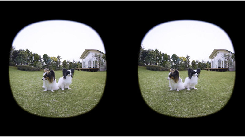 RF-S3.9mm F3.5 STM DUAL FISHEYE | Canon Canada Shop